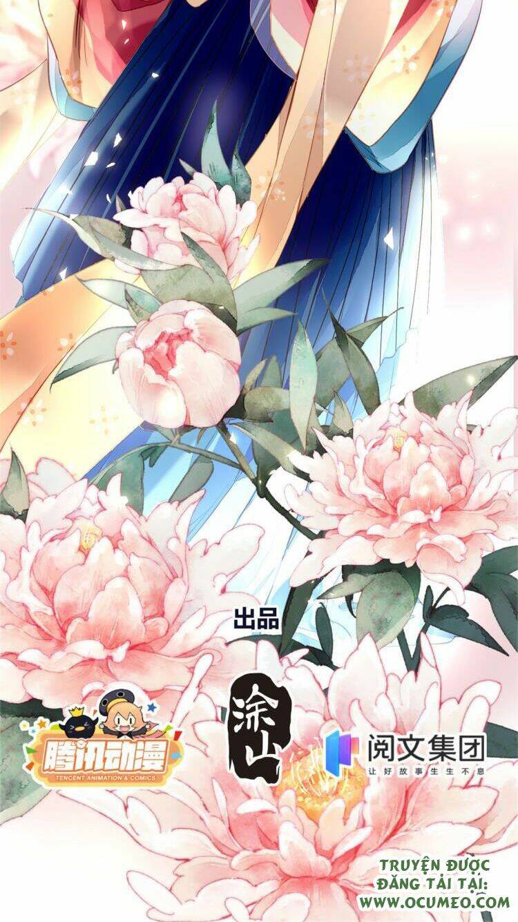 vấn đan chu chapter 33 - Trang 2